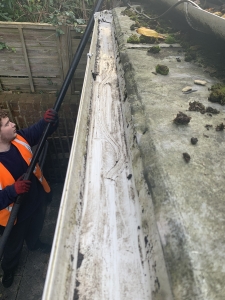 Gutter cleaning